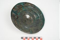 Foto von Bronzephalere (NHMW-PRAE-026092)